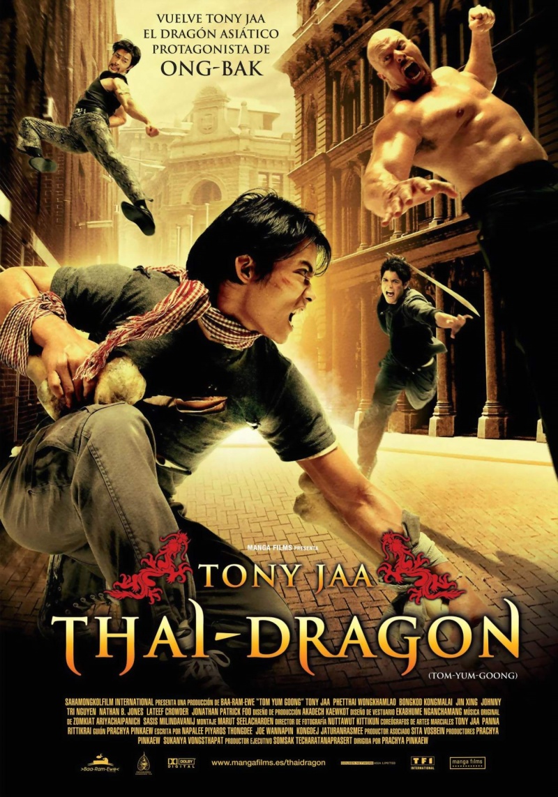 Честь дракона (2005 )